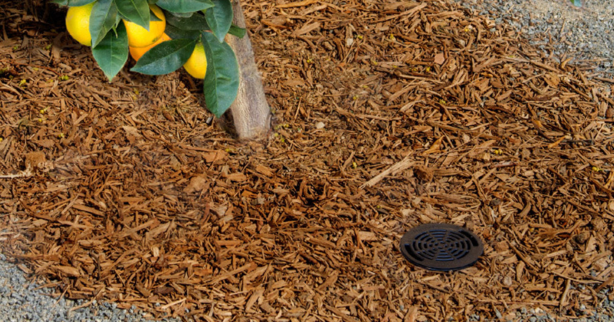 Root Zone Watering System Nelson Irrigation Australia